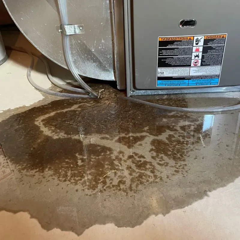 Pipe Burst and Leak Restoration in Commerce, OK